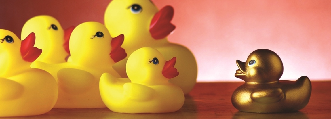 Are-your-ducks-in-a-row_2464_40165492_0_14138997_1150.jpg